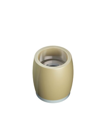 Series 250 25mm Diameter Brass Bottom Guide Roller