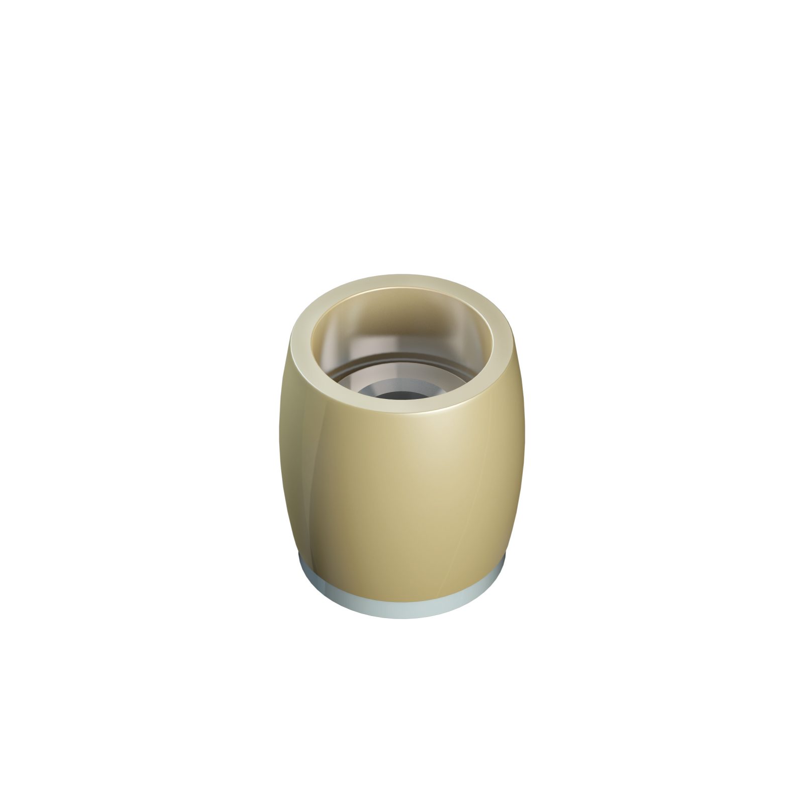 Series 250 25mm Diameter Brass Bottom Guide Roller